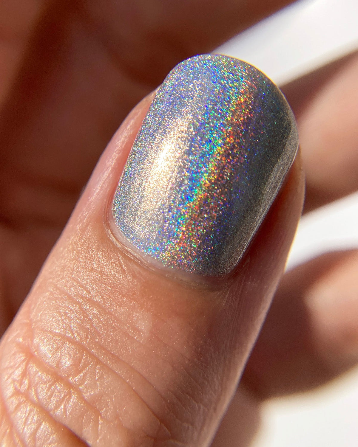 Moonflower